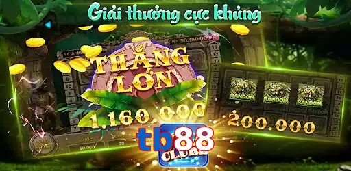 tb88